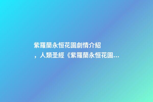 紫羅蘭永恒花園劇情介紹，人類圣經《紫羅蘭永恒花園》表現不盡人意-第1張-觀點-玄機派